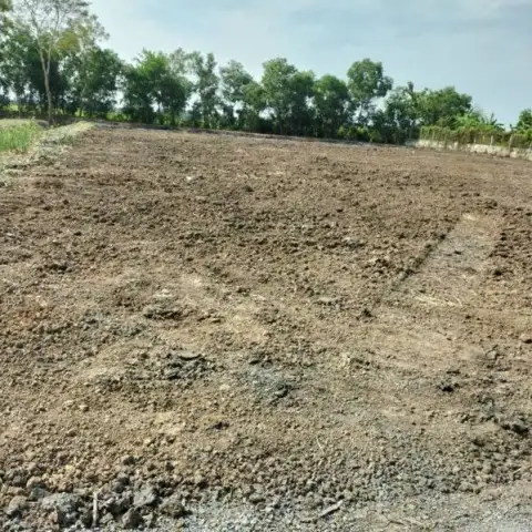 Rental Image 2