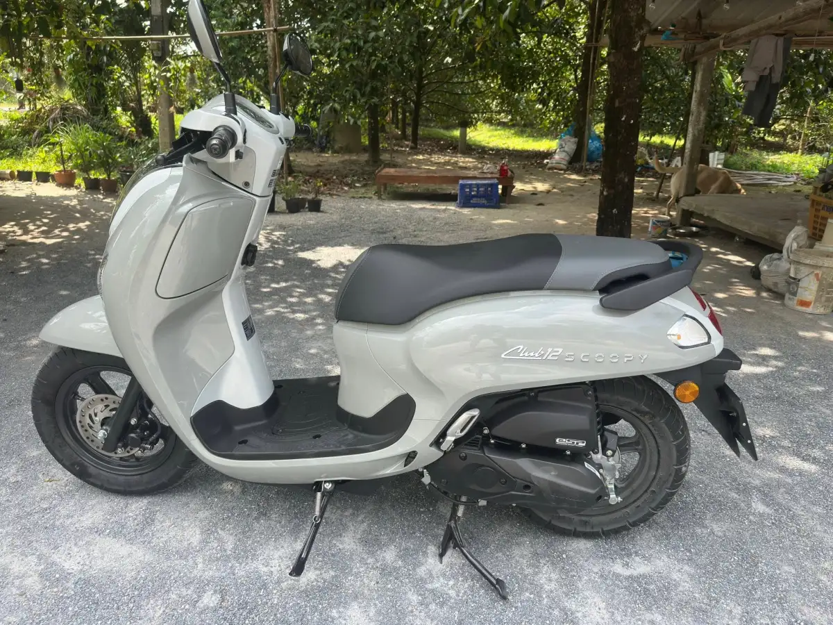 Rental Image 5